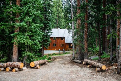 Cabin on the Edge of Forever