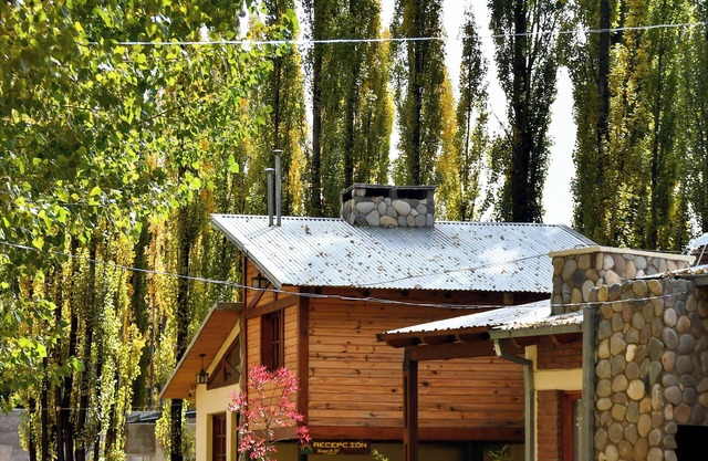 Cabins located in the forest just 5 minutes from the center.