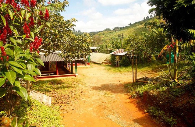 Caficultur -Alojamiento Rural