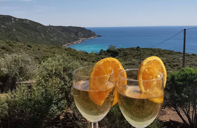 Cala d'Orzu chalet with private pool, sea view and Capu-Neru tower