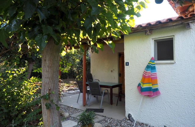 Calm Located Olive Grove The Beach Holiday 