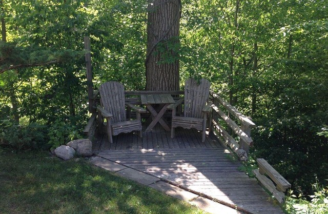 Calmcation: Cabin in The Enchanted Forest