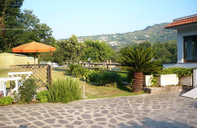 Camellia Apartment
