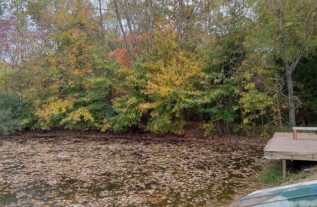 Campground, in the heart of the 2024 Solar Eclipse path, country setting w/pond