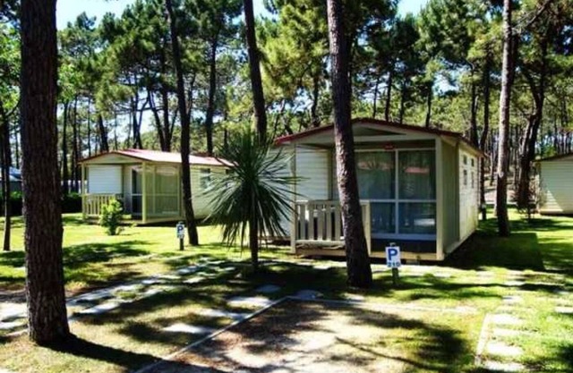 Camping - Piscine - eeec0c