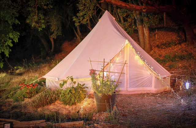 Cannabis Farm Glamping Retreat: Near Willow Creek w/Farm Meals, Firepit & Kayaks