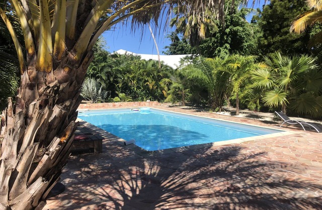 Caribbean Oasis, Ocean view, large private pool, tropical garden, & min to beach