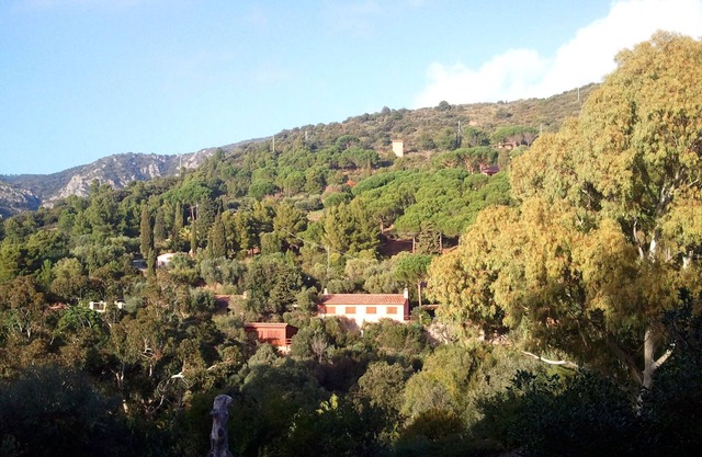 Casa Anita (Wild House) An oasis surrounded by nature 200 meters from the sea