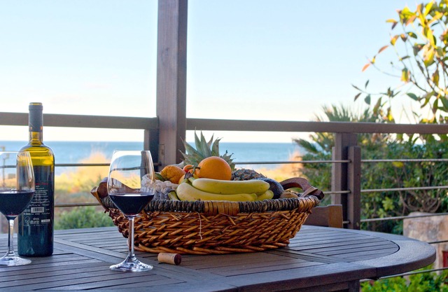 Casa Catinca Cullera - the House Behind the Dune