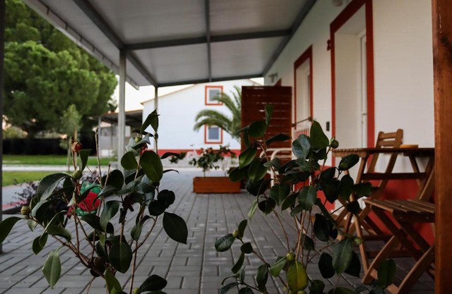 Casa Das Pipas 