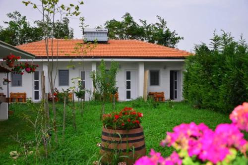Casa Georgy