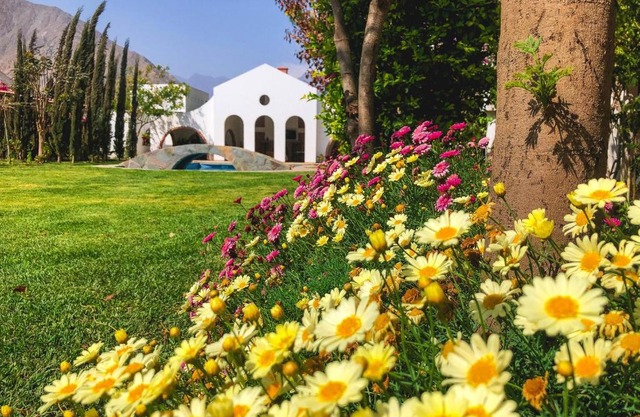 Casa Hotel Mamaluna