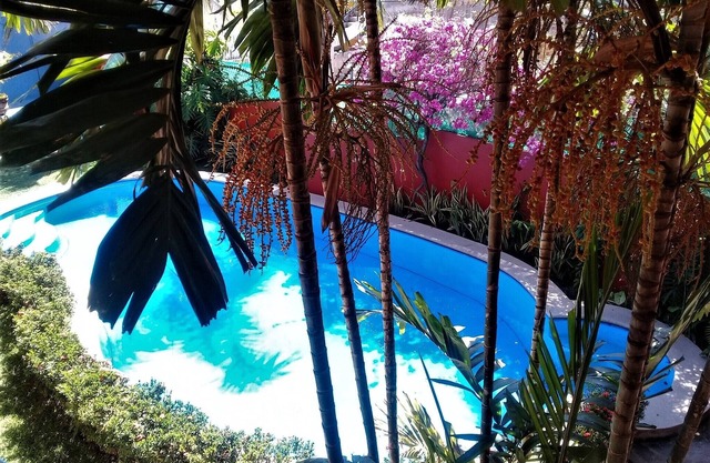 Casa Misifus