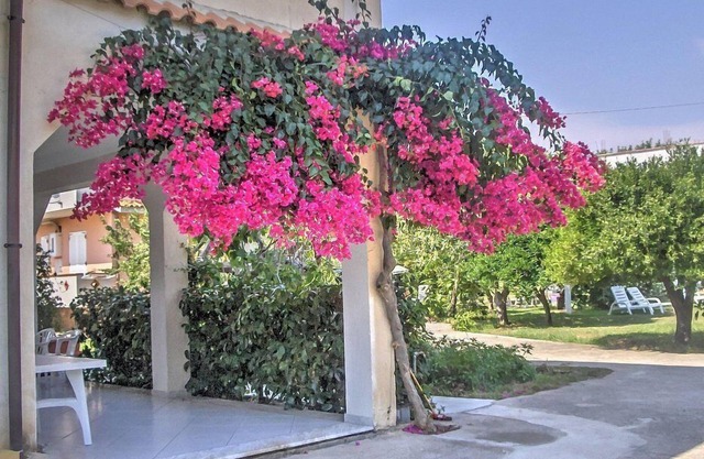Casa Rosina: A welcoming apartment that is part of a villa situated at a short distance from the beach, with Free WI-FI.
