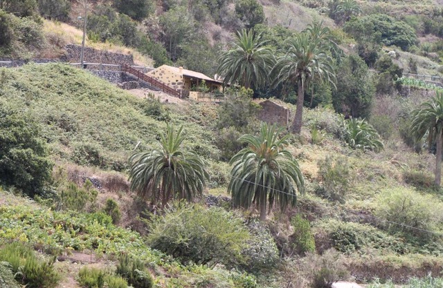 Casa Rural El Rincón de Antonia