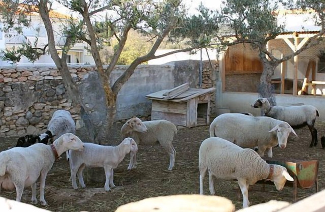 Casa rural Els Matalapers - Entire rental - 6 units