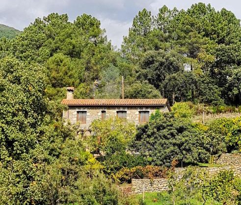 Casa Rural en Candeleda con piscina y un maravilloso jardín
