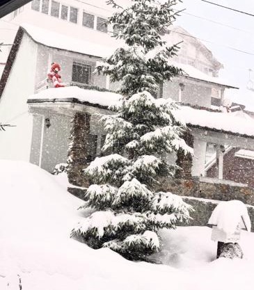 Casa Serban