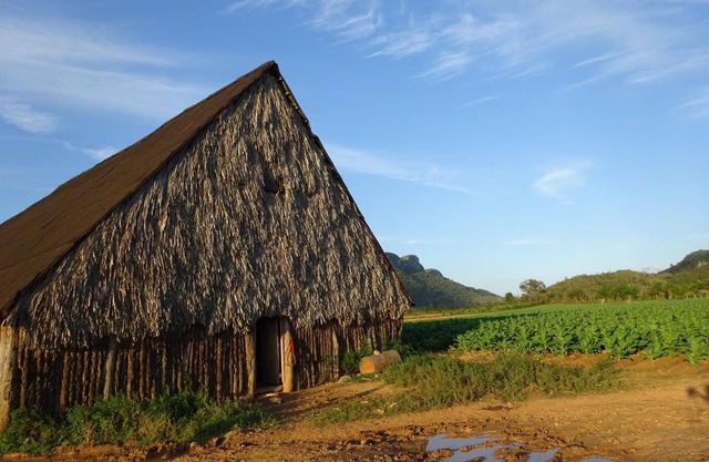Casa Sol Tropical + Generador auxiliar Solar