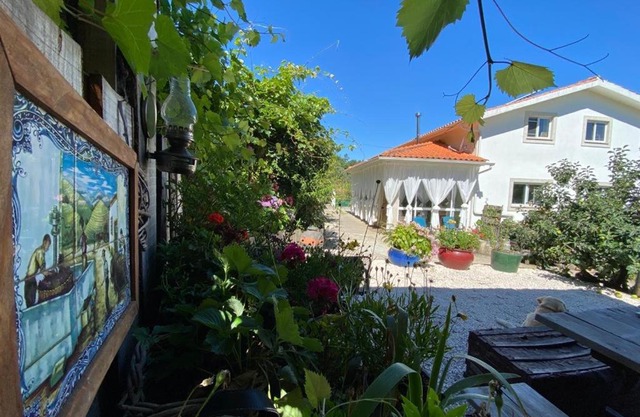 Casa Traca