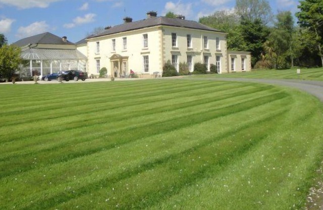 Castle Grove