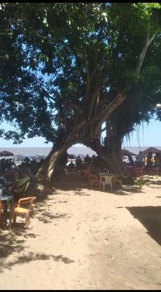 Chalé do marujus
