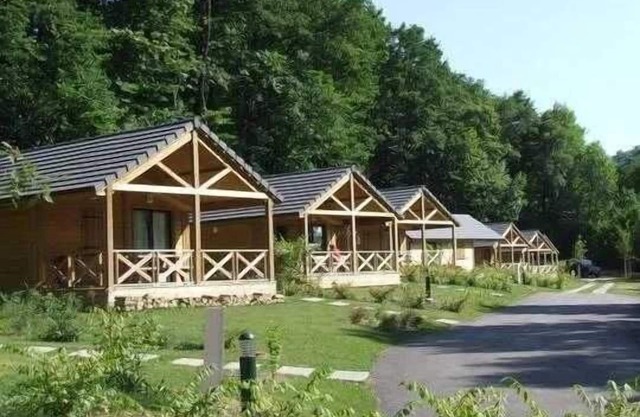 Chalet 4 étoiles - Piscine - ccbabh0