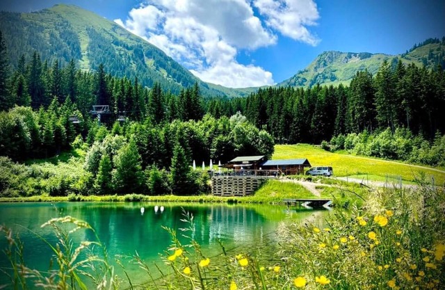 Chalet in the Praebichl ski area with sauna