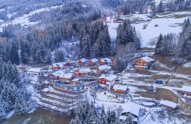 Chalet in Wildkogel near Ski Slopes