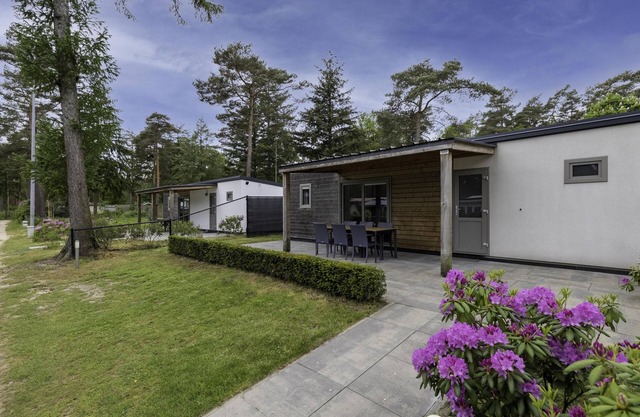 chalet with covered terrace on campsite with pool