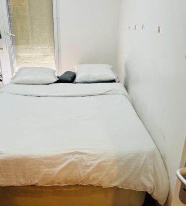 Chambre pinsel