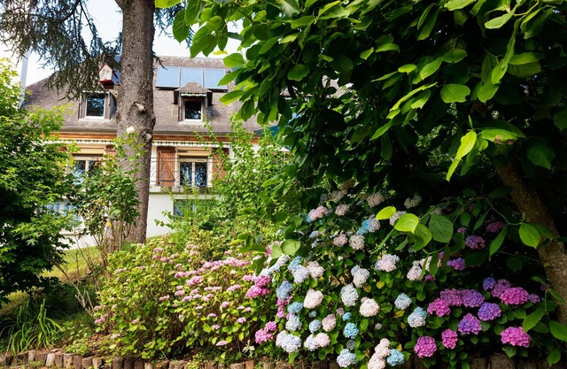 Chambres d'hôtes La Demeure Aux Pins