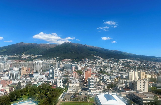 Charming 1 bedroom apartment with fast WiFi & fitness room in Majestic Quito.