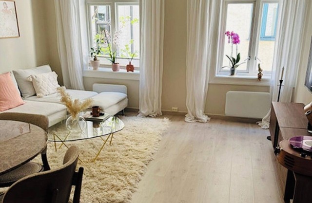 Charming 1-bedroom apartment with WiFi and AC in marvelous Oslo
