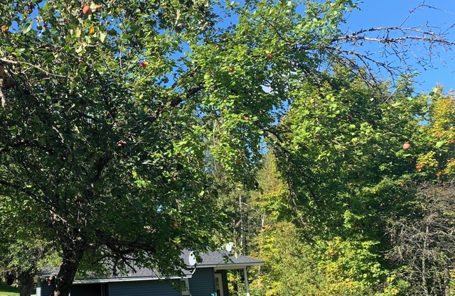 CHARMING 2-BDR HOUSE MINUTES FROM LAKE MICHIGAMME! RENOVATED, CLEAN, WITH A/C!