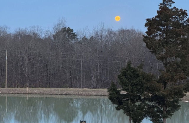 Charming 2-bedroom barndominium with indoor basketball/pickleball court and pond