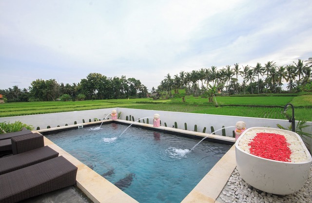 Charming 2-bedroom villa in enchanting Bali with ricepaddy view