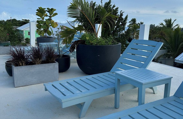 Charming and Affordable Studio in Providenciales!