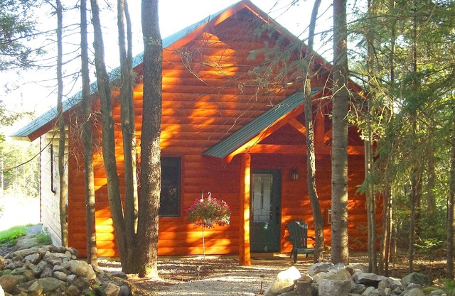 Charming and meticulously cleaned cabin with panoramic view of the Green Mtns