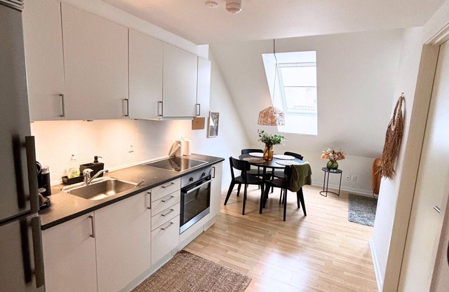 Charming apartment in the heart of Odense with roof view
