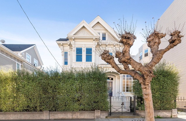 Charming Garden Unit In Beautiful Pacific Heights. Flat Walk To The City's Best