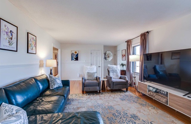 Charming level 3-BR,2Ba house in Johnson City with WiFi, AC, views, pet friendly