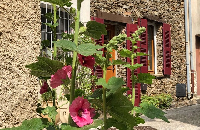 Charming Provencal stone house with roof terrace and fantastic distant view