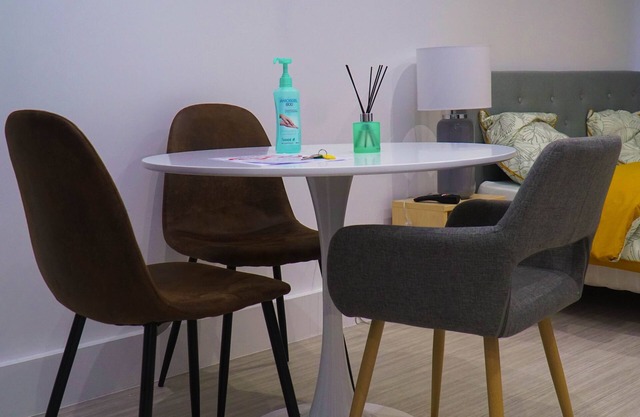 CHARMING STUDIO SAINT MARTIN