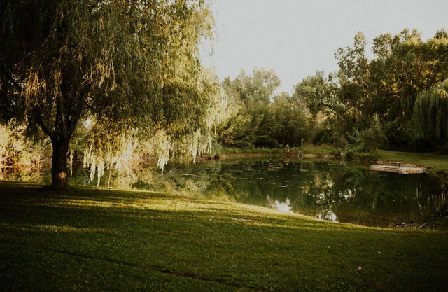 Cheerful Country Cottage