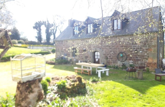 -Chestnut - La Châtaigne-