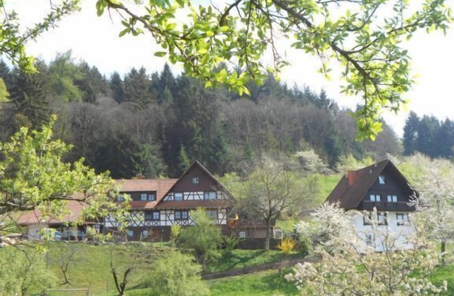 Chestnut log cabin, max. 4 persons