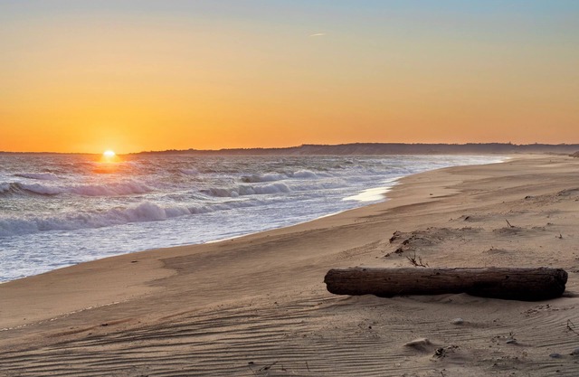 Chilmark 1-bedroom Bunk house, WiFi, AC. Private Beach, Pets. No kitchen