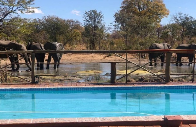 Chobe Mupani Forest Lodge