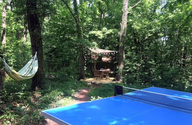Cinke cottage, nest in nature